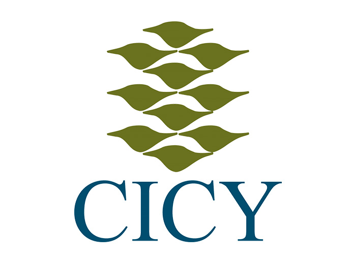 cicy